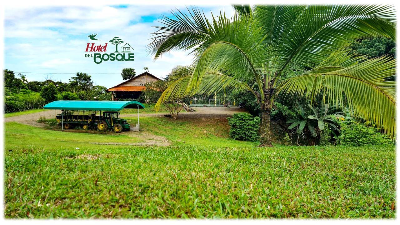 Hotel Del Bosque Río Cuarto Exterior foto