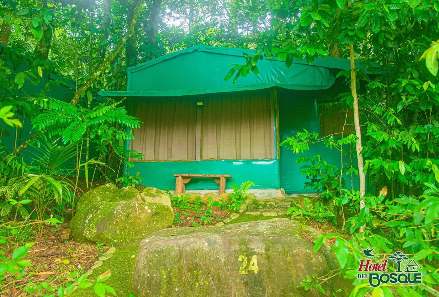 Hotel Del Bosque Río Cuarto Exterior foto